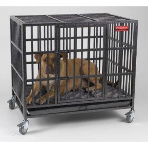 Heavy Duty Dog Crate