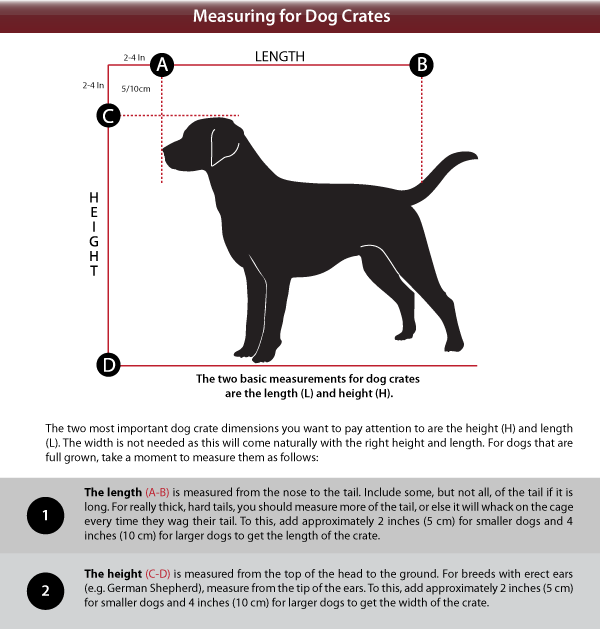 Dog Crate Sizes – a Guide to Buying the Right Size